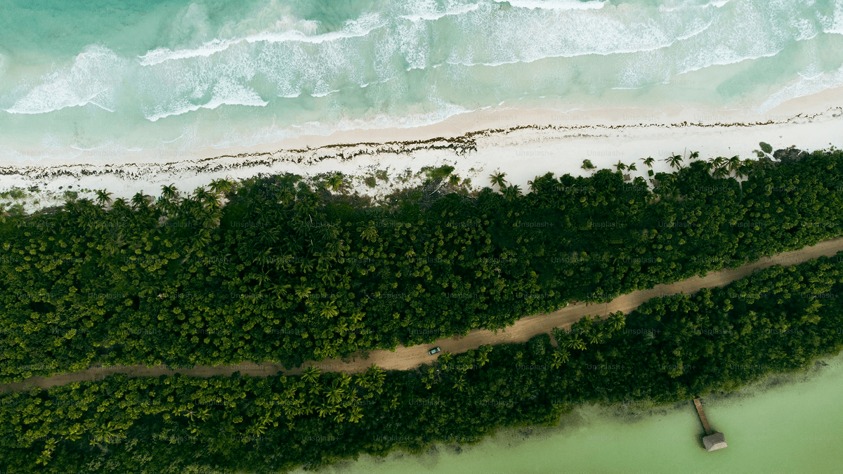Tropical coastline